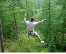 Things to do in Pickering : Go Ape